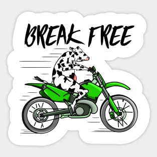 Cow on a motorbike Sticker